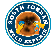 Mold Remediation South Jordan Experts