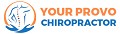 Your Mobile Provo Chiropractor