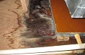 Mold Remediation Provo UT Solutions